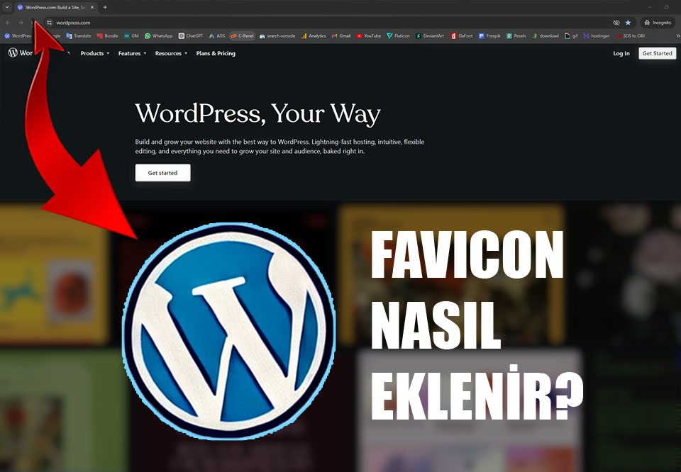 WordPress Favicon Yukleme