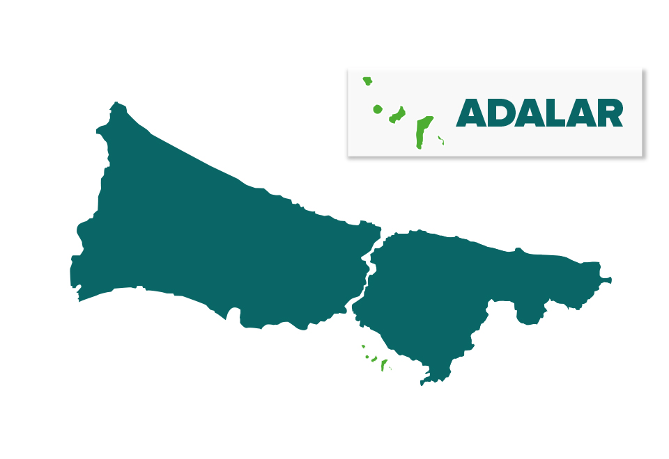 adalar web tasarimi