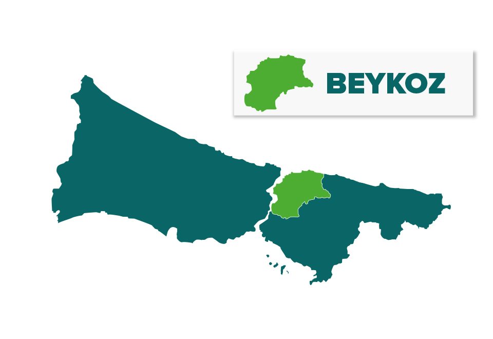 beykoz web tasarimi