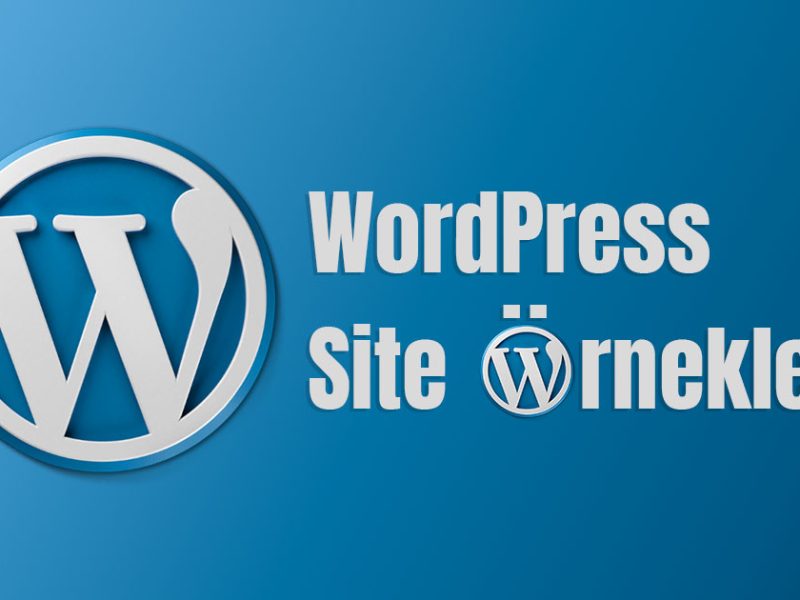 wordpress-ile-yapılmış-site-örnekleri
